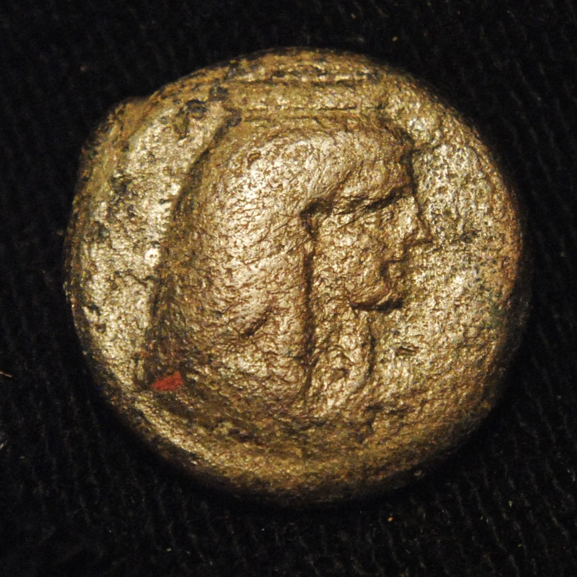 Sicilian-�'s-Are-Great-!-Especially-The-Punic